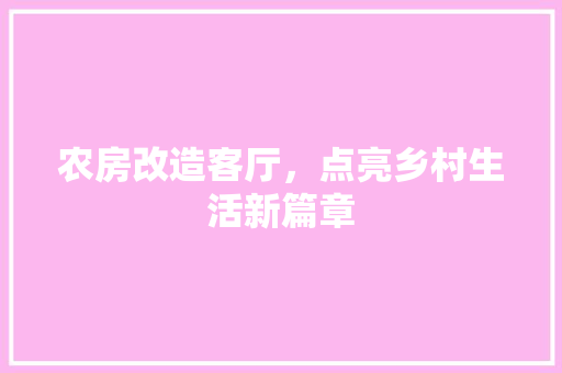 农房改造客厅，点亮乡村生活新篇章