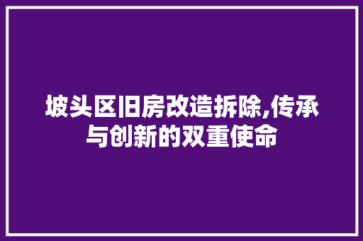 坡头区旧房改造拆除,传承与创新的双重使命