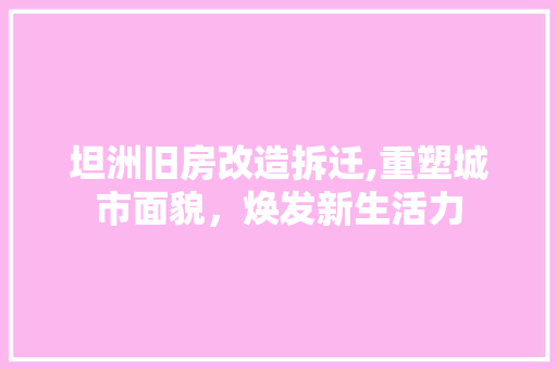 坦洲旧房改造拆迁,重塑城市面貌，焕发新生活力