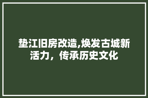 垫江旧房改造,焕发古城新活力，传承历史文化