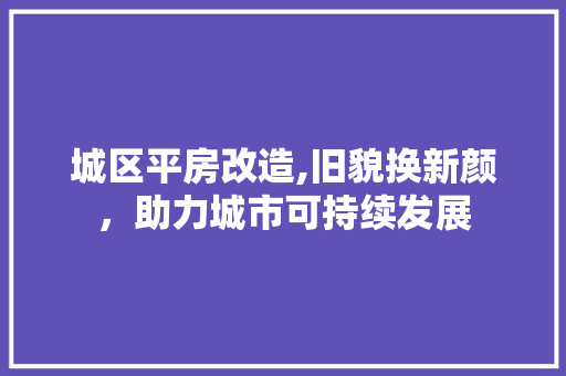 城区平房改造,旧貌换新颜，助力城市可持续发展