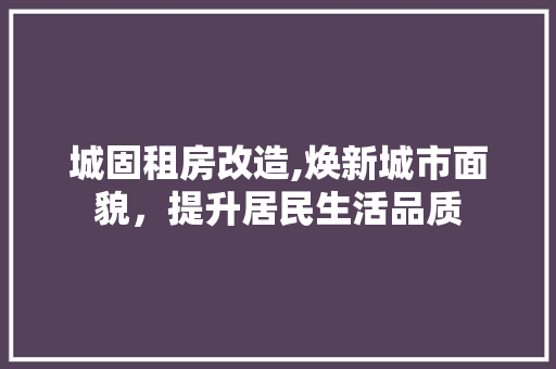 城固租房改造,焕新城市面貌，提升居民生活品质