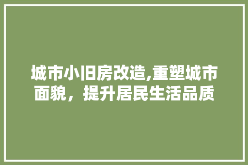 城市小旧房改造,重塑城市面貌，提升居民生活品质 庭院装修