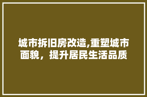 城市拆旧房改造,重塑城市面貌，提升居民生活品质 门窗装修