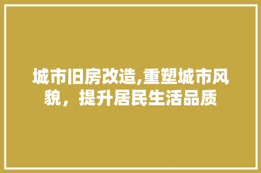 城市旧房改造,重塑城市风貌，提升居民生活品质 门窗装修