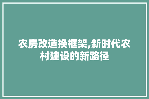农房改造换框架,新时代农村建设的新路径
