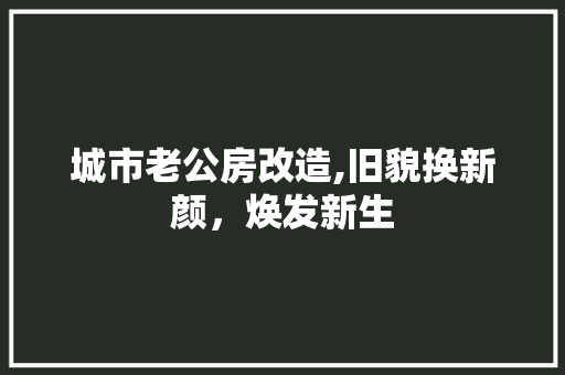 城市老公房改造,旧貌换新颜，焕发新生