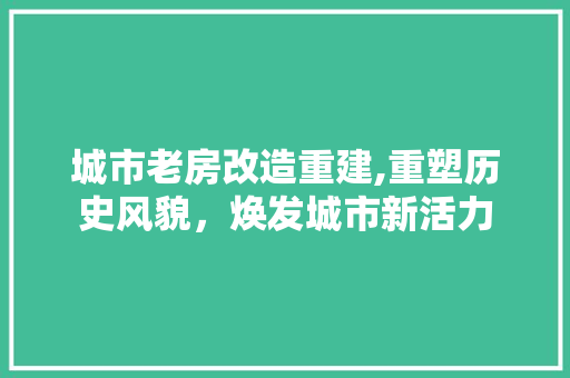 城市老房改造重建,重塑历史风貌，焕发城市新活力