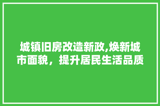 城镇旧房改造新政,焕新城市面貌，提升居民生活品质