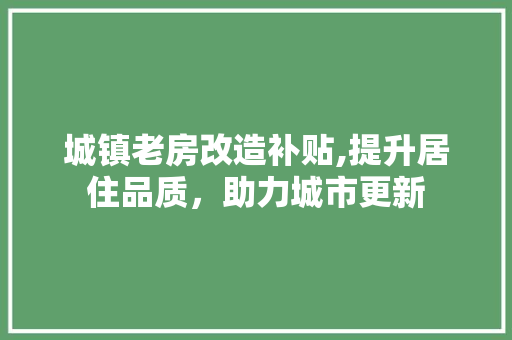城镇老房改造补贴,提升居住品质，助力城市更新 墙面装饰