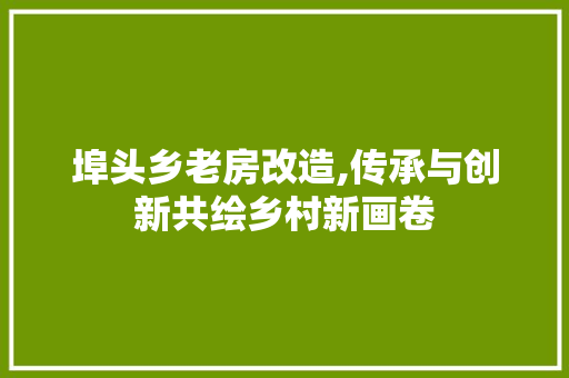 埠头乡老房改造,传承与创新共绘乡村新画卷 庭院装修