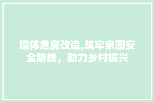 墙体危房改造,筑牢家园安全防线，助力乡村振兴