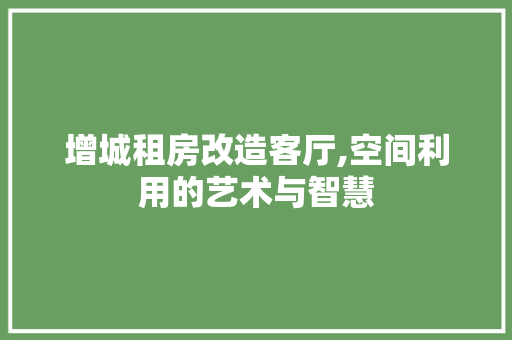 增城租房改造客厅,空间利用的艺术与智慧 装修攻略