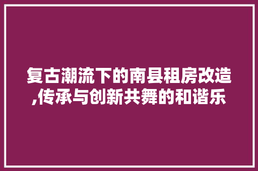 复古潮流下的南县租房改造,传承与创新共舞的和谐乐章 建筑设计