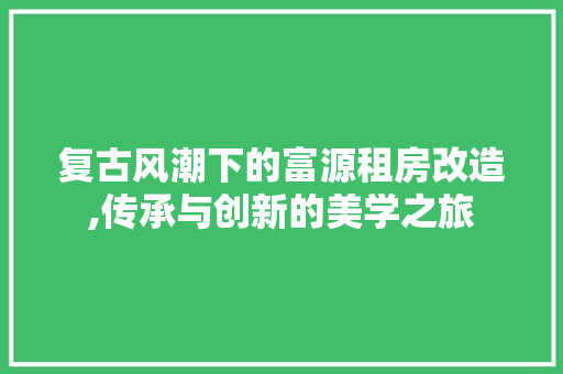 复古风潮下的富源租房改造,传承与创新的美学之旅