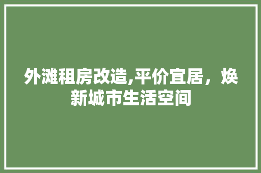 外滩租房改造,平价宜居，焕新城市生活空间