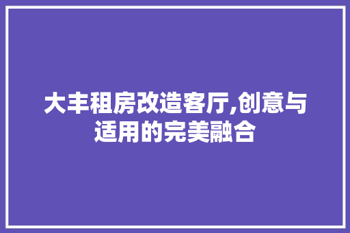 大丰租房改造客厅,创意与适用的完美融合