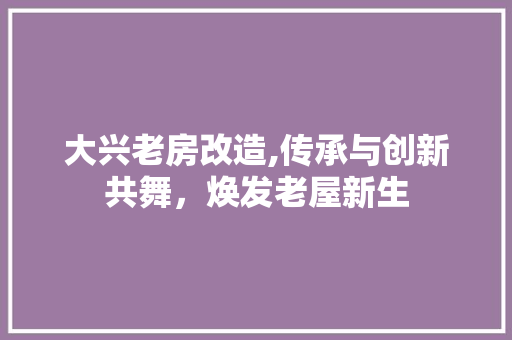 大兴老房改造,传承与创新共舞，焕发老屋新生 装修材料