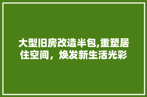 大型旧房改造半包,重塑居住空间，焕发新生活光彩 地面装修