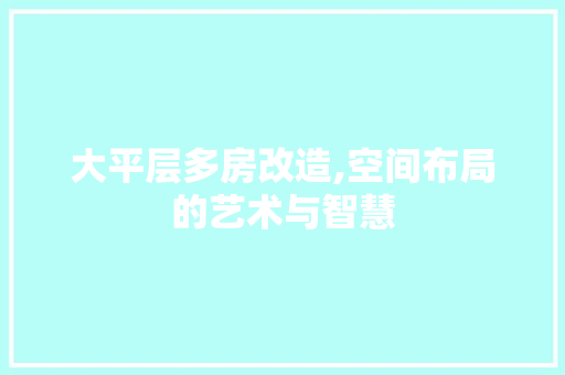 大平层多房改造,空间布局的艺术与智慧