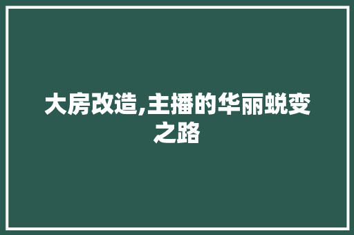 大房改造,主播的华丽蜕变之路