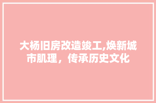 大杨旧房改造竣工,焕新城市肌理，传承历史文化 庭院装修