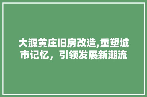 大源黄庄旧房改造,重塑城市记忆，引领发展新潮流