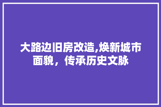 大路边旧房改造,焕新城市面貌，传承历史文脉