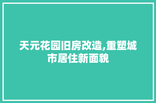 天元花园旧房改造,重塑城市居住新面貌