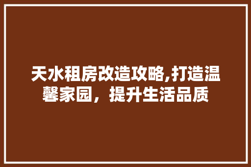 天水租房改造攻略,打造温馨家园，提升生活品质