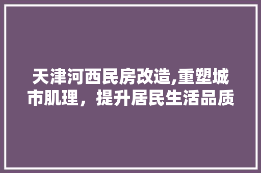 天津河西民房改造,重塑城市肌理，提升居民生活品质