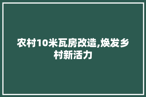 农村10米瓦房改造,焕发乡村新活力