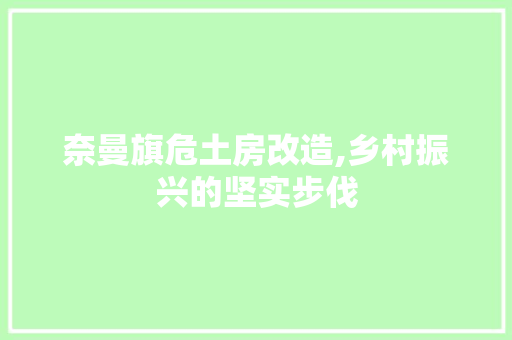 奈曼旗危土房改造,乡村振兴的坚实步伐 建筑设计