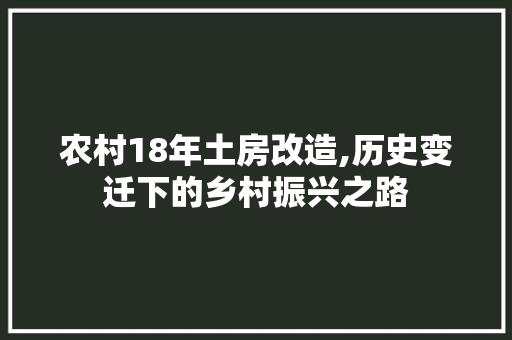 农村18年土房改造,历史变迁下的乡村振兴之路