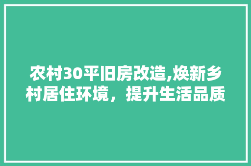 农村30平旧房改造,焕新乡村居住环境，提升生活品质