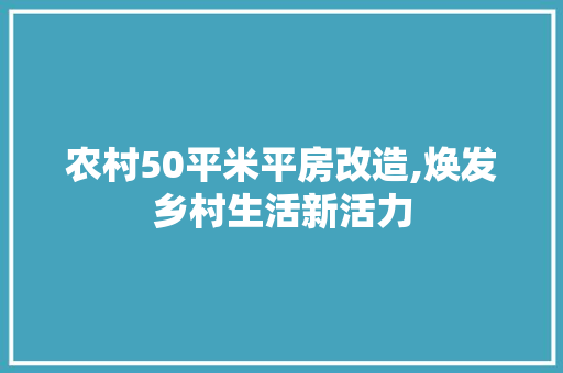 农村50平米平房改造,焕发乡村生活新活力 建筑设计