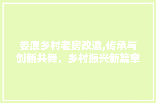 娄底乡村老房改造,传承与创新共舞，乡村振兴新篇章 地面装修