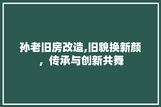 孙老旧房改造,旧貌换新颜，传承与创新共舞 建筑设计