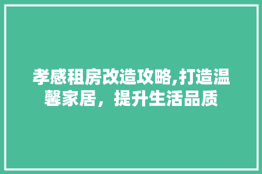 孝感租房改造攻略,打造温馨家居，提升生活品质