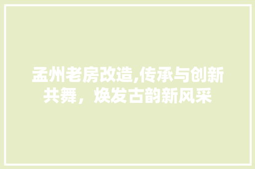 孟州老房改造,传承与创新共舞，焕发古韵新风采