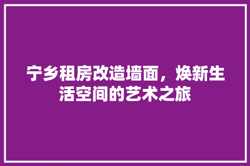 宁乡租房改造墙面，焕新生活空间的艺术之旅