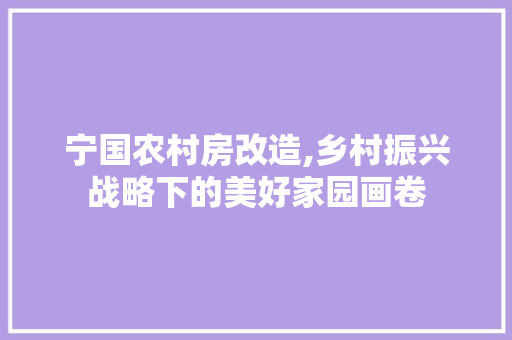 宁国农村房改造,乡村振兴战略下的美好家园画卷