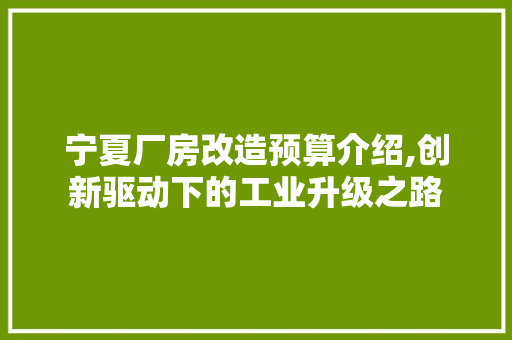 宁夏厂房改造预算介绍,创新驱动下的工业升级之路