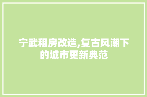 宁武租房改造,复古风潮下的城市更新典范
