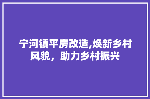 宁河镇平房改造,焕新乡村风貌，助力乡村振兴