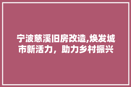 宁波慈溪旧房改造,焕发城市新活力，助力乡村振兴