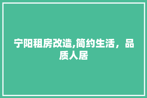 宁阳租房改造,简约生活，品质人居