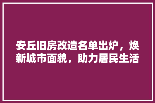 安丘旧房改造名单出炉，焕新城市面貌，助力居民生活品质提升