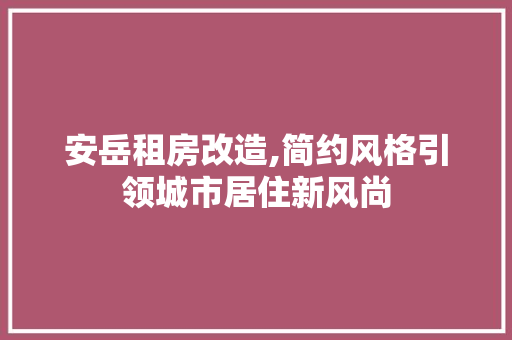 安岳租房改造,简约风格引领城市居住新风尚