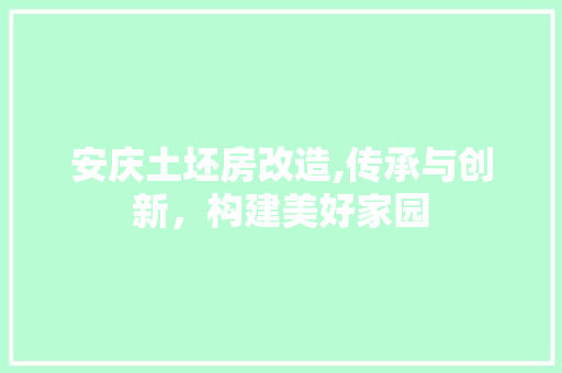 安庆土坯房改造,传承与创新，构建美好家园